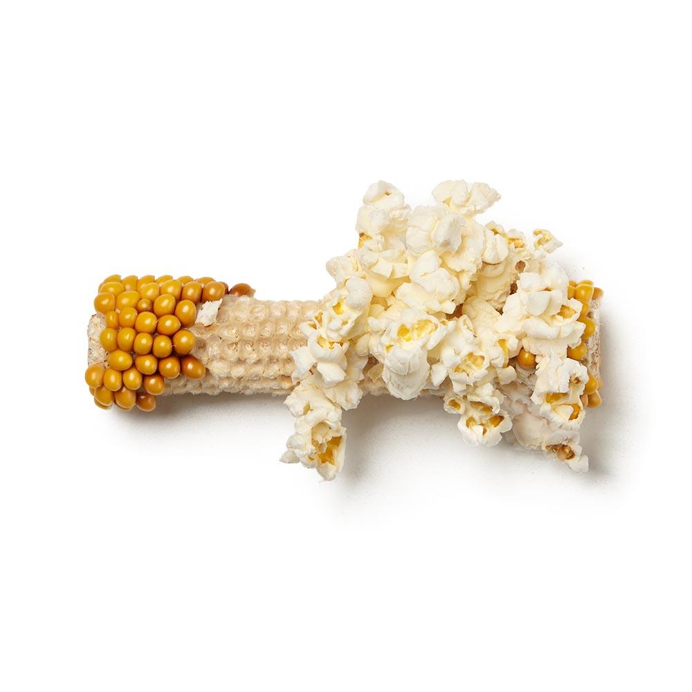 Pop On The Cob Popcorn