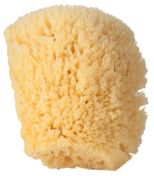 Seventeen Already???