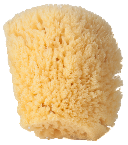 Seventeen Already???