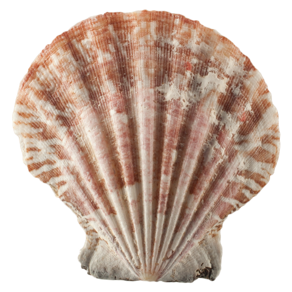 Seventeen Already???