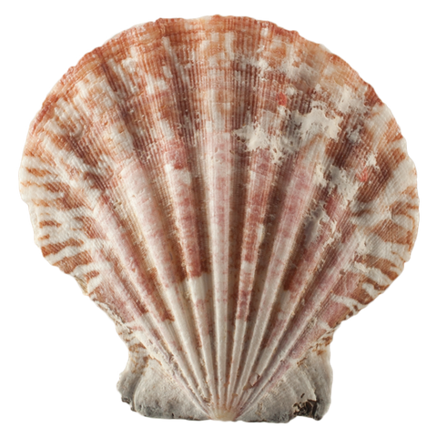 Seventeen Already???