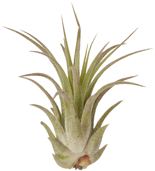 Test 4