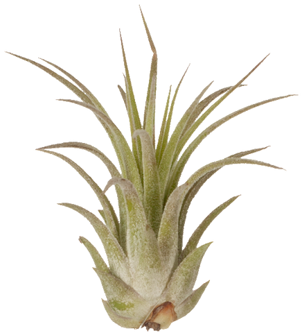 Test 4