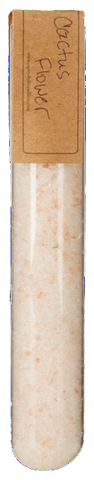 Apothecary Bath Salts