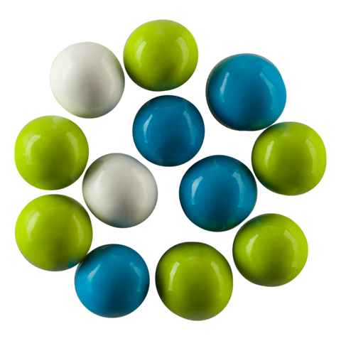 Seattle Sports Sampler