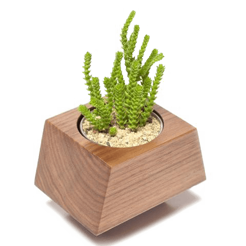 Box Car Planter Gift Set 