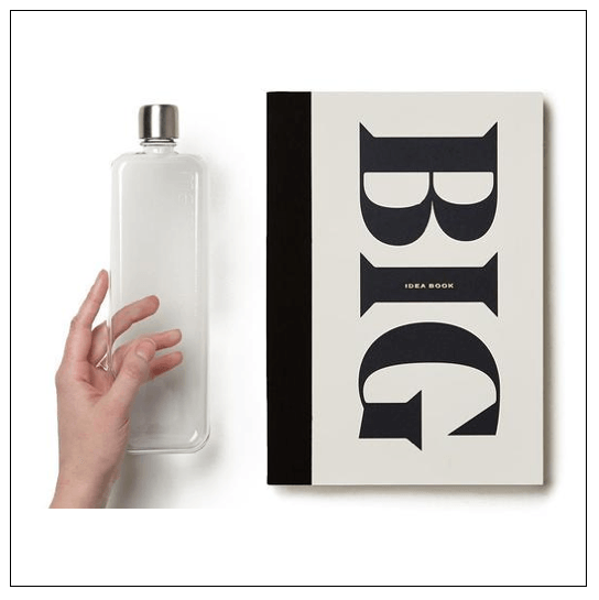 Big Sustainable Idea