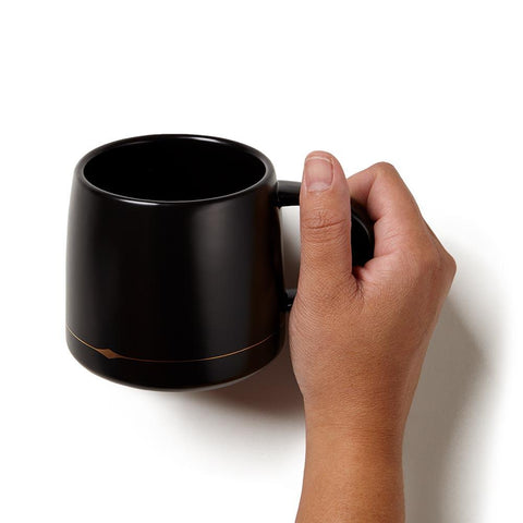 Black Palm Desert Mug