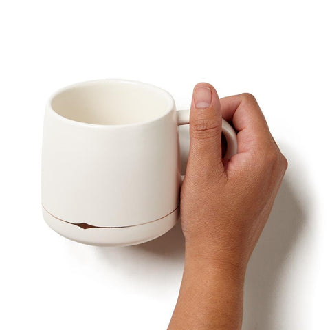 White Palm Desert Mug